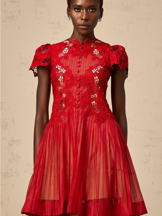 Miss Rosier Dresses & Skirts - Red Lace Fit & Flare Mini Dress